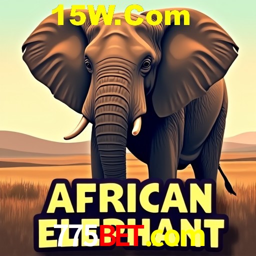 A Experiência Imersiva dos Cassinos Ao Vivo no 775bet.com